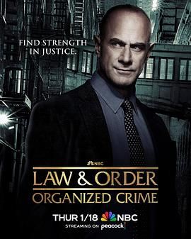 法律与秩序：组织犯罪 第四季第4集